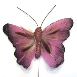 Pink stor fjer sommerfugl