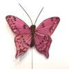 Pink lille plettet sommerfugl