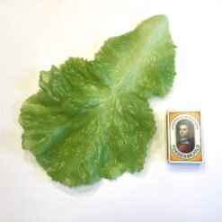 Alternative view of Stort grønt blødt salatblad