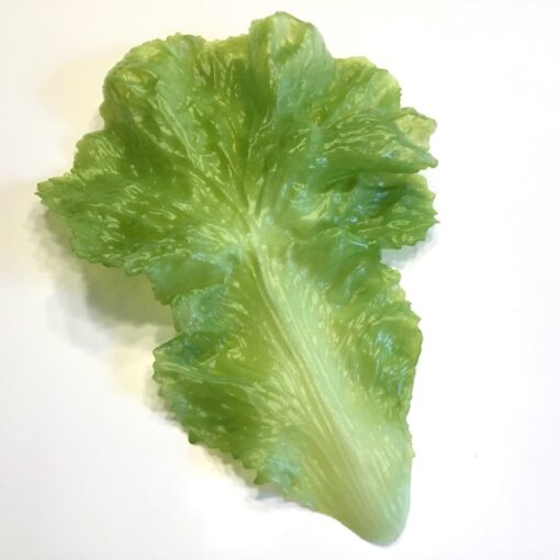 Stort grønt blødt salatblad