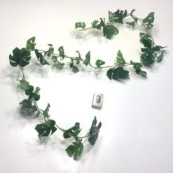 Alternative view of Monster ranke med grønne blade