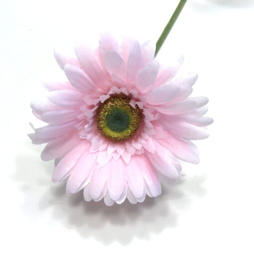 Smuk rosa klassisk gerbera