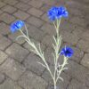 Dekorativ blå kornblomst gren