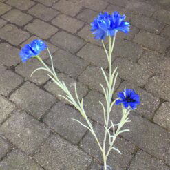 Dekorativ blå kornblomst gren