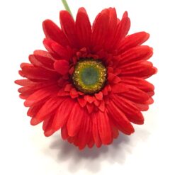 Smuk rød klassisk gerbera