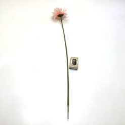 Alternative view of Smuk peach klassisk gerbera