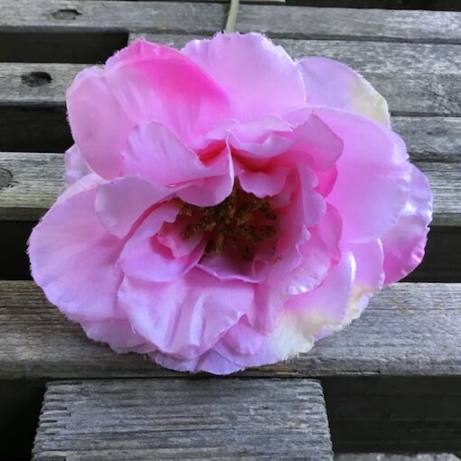 Lyserød rose med stilk