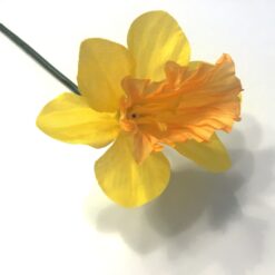 Påskelilje gren uden blade