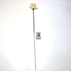 Alternative view of Pinselilje gren uden blade