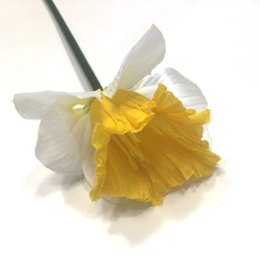 Pinselilje gren uden blade