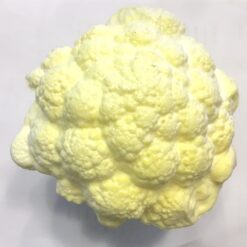 Dekorations blomkål i plast