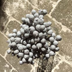 Tilbud 180stk sølv bær