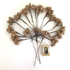 Alternative view of Tilbud 180stk guld bær