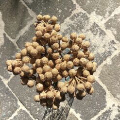 Tilbud 180stk guld bær