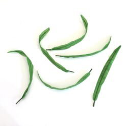 Lange tynde grønne blade 