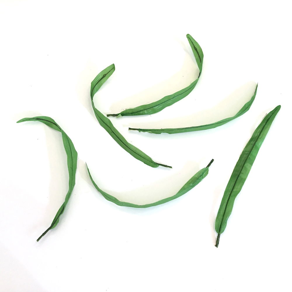 Lange tynde grønne blade