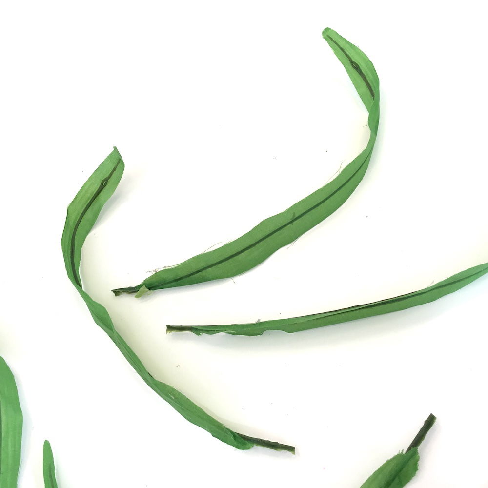 Lange tynde grønne blade - Billede 4