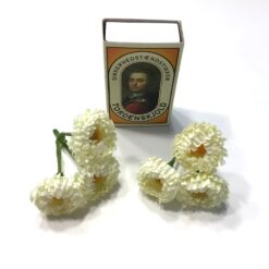 Alternative view of Små sart gule blomster