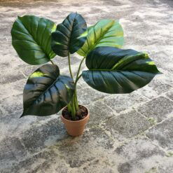 Høj flot grøn potteplante