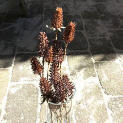 Naturtro kunstige brune grene