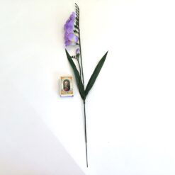 Alternative view of Lilla enkel fresia gren