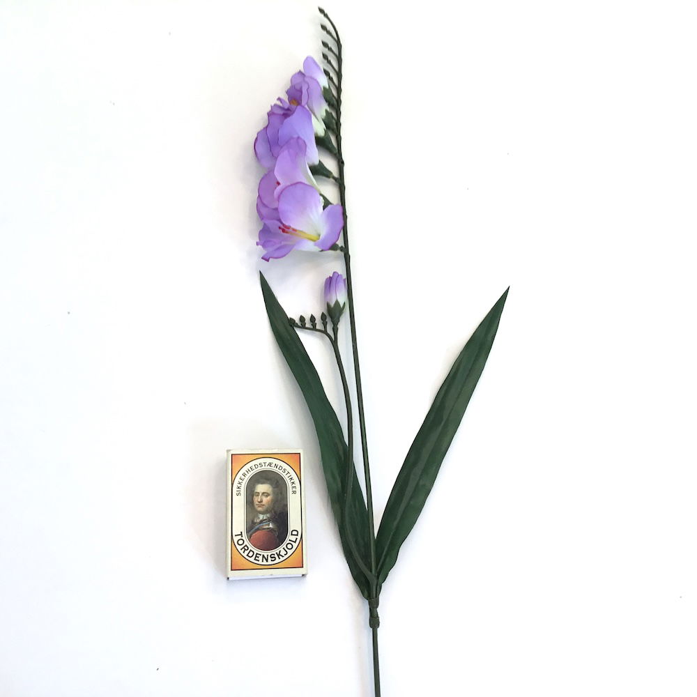 Lilla enkel fresia gren - Billede 4