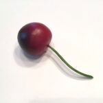 Naturtro rødt kirsebær med stilk