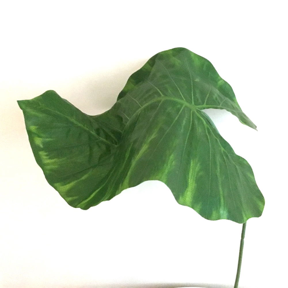 7 x store grønne blade - Billede 8