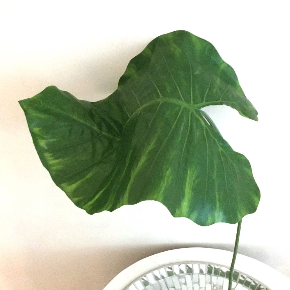 7 x store grønne blade - Billede 5