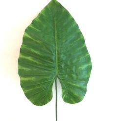 7 x store grønne blade