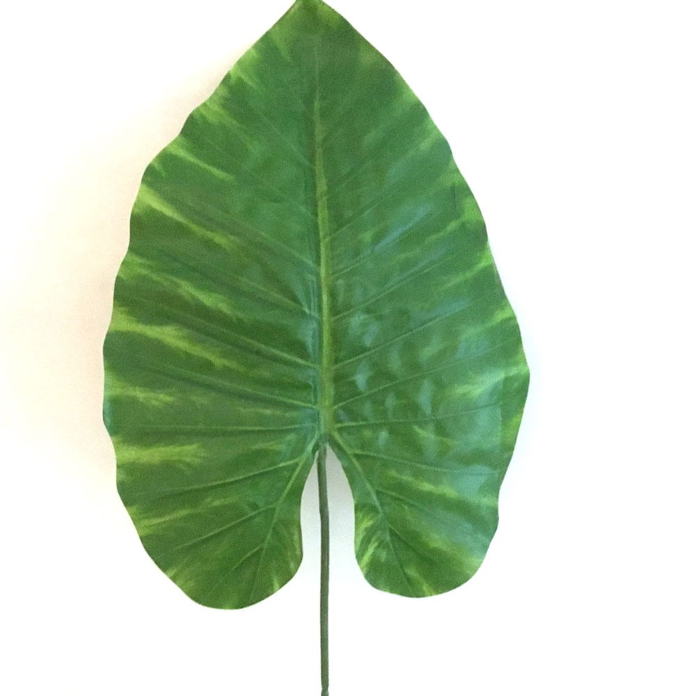 7 x store grønne blade