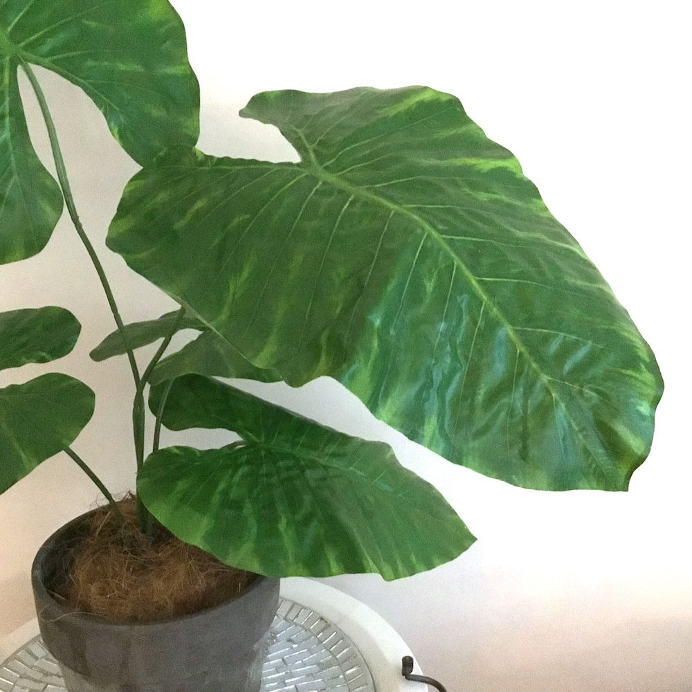 7 x Kæmpe store blade - Billede 4