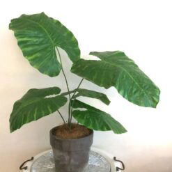 Alternative view of 7 x Kæmpe store blade