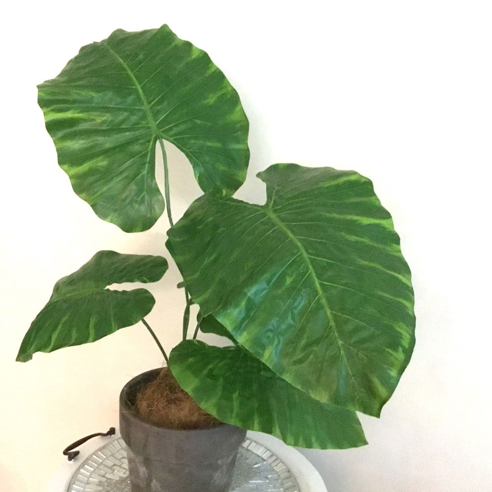 7 x Kæmpe store blade - Billede 8