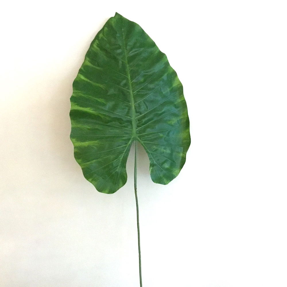 7 x Kæmpe store blade - Billede 5