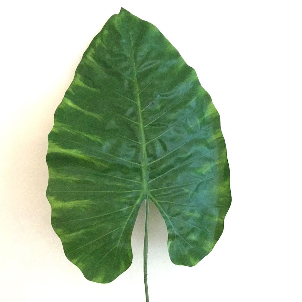 7 x Kæmpe store grønne blade