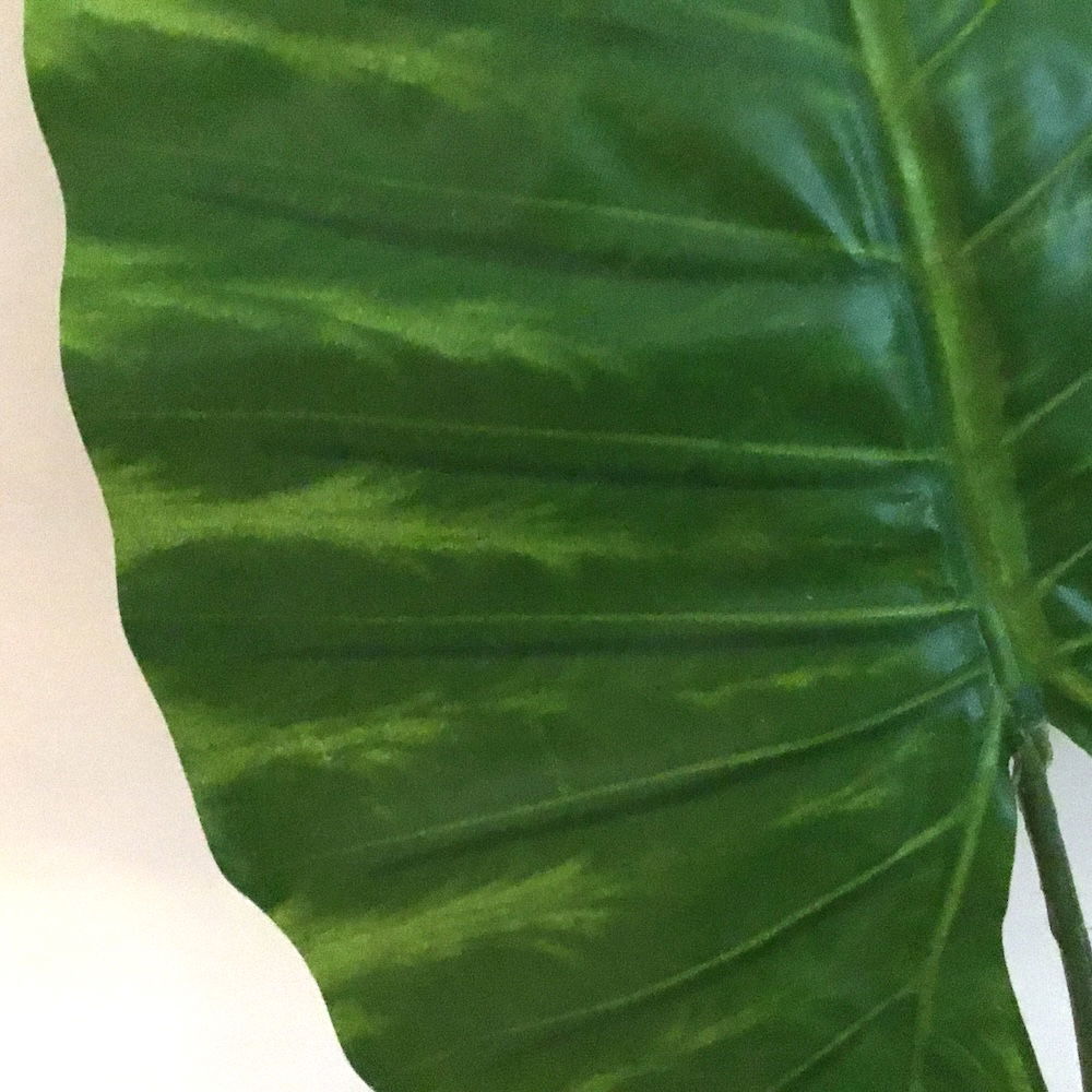 7 x Kæmpe store blade - Billede 6