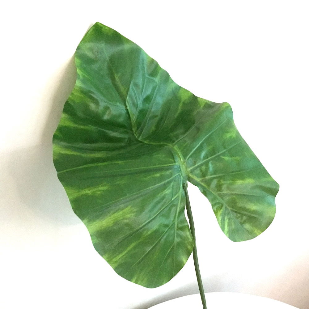 7 x Kæmpe store blade - Billede 10