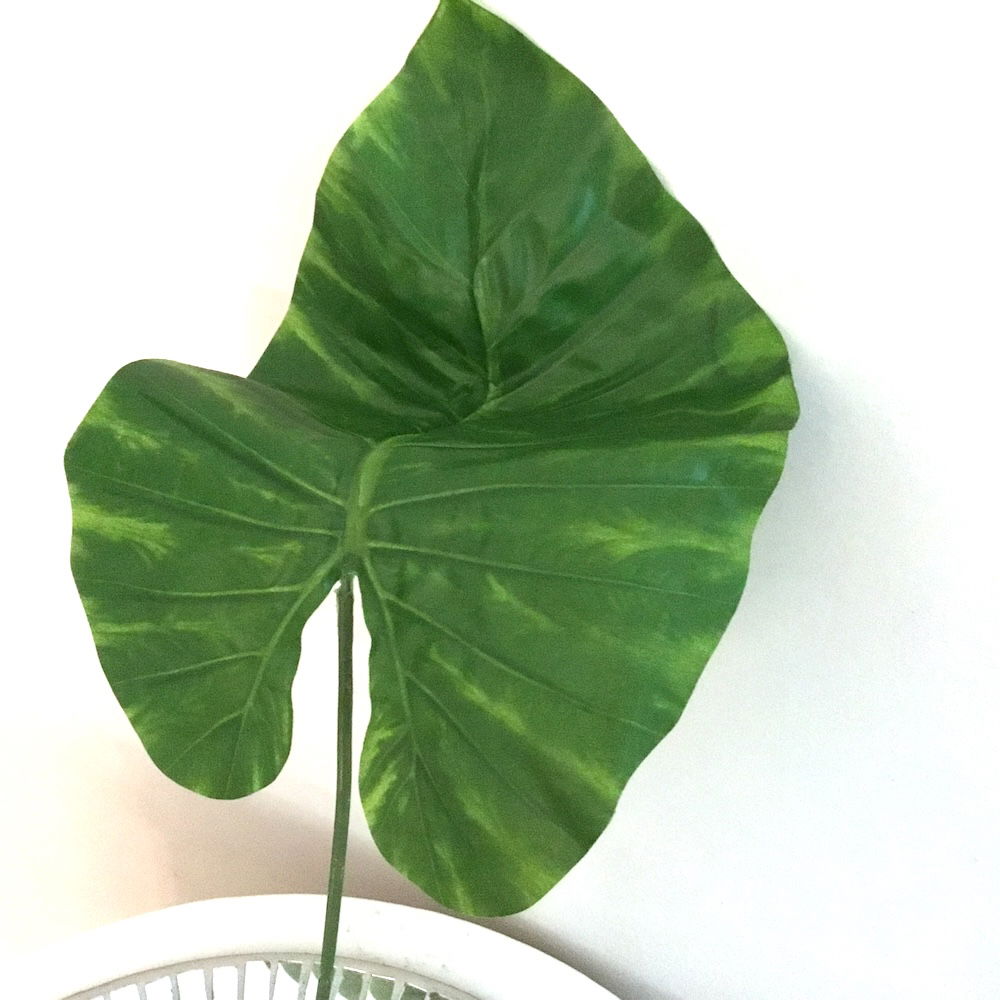 7 x Kæmpe store blade - Billede 9