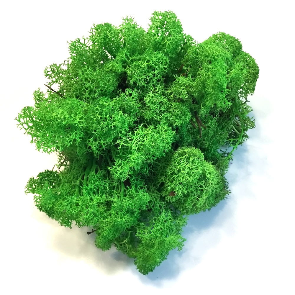 Lys græsgrøn præserveret mos 50g