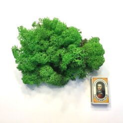 Alternative view of Lys græsgrøn præserveret mos 50g