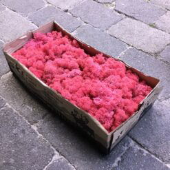 Kasse Islandsk mos cerise pink