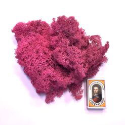 Alternative view of Cerise pink præserveret mos 50g