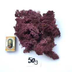 Alternative view of Blomme farvet præserveret mos 50g