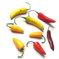 Chili portion flere forskellige