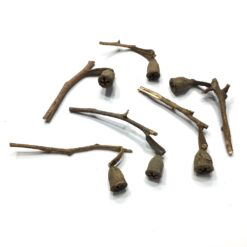 Dekorative skæve træ piber