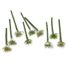 Små fine lyse grene