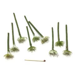 Alternative view of Små fine lyse grene