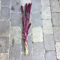 Alternative view of Tørrede blomster i blomme farve