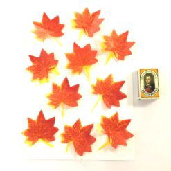 Alternative view of Ens formet efterårs blade